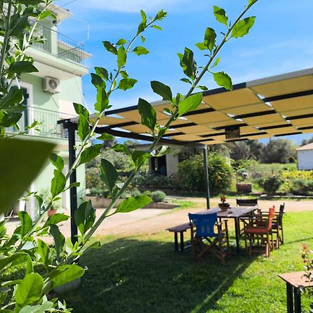 Villa Rosegarden à Sami  Extérieur photo