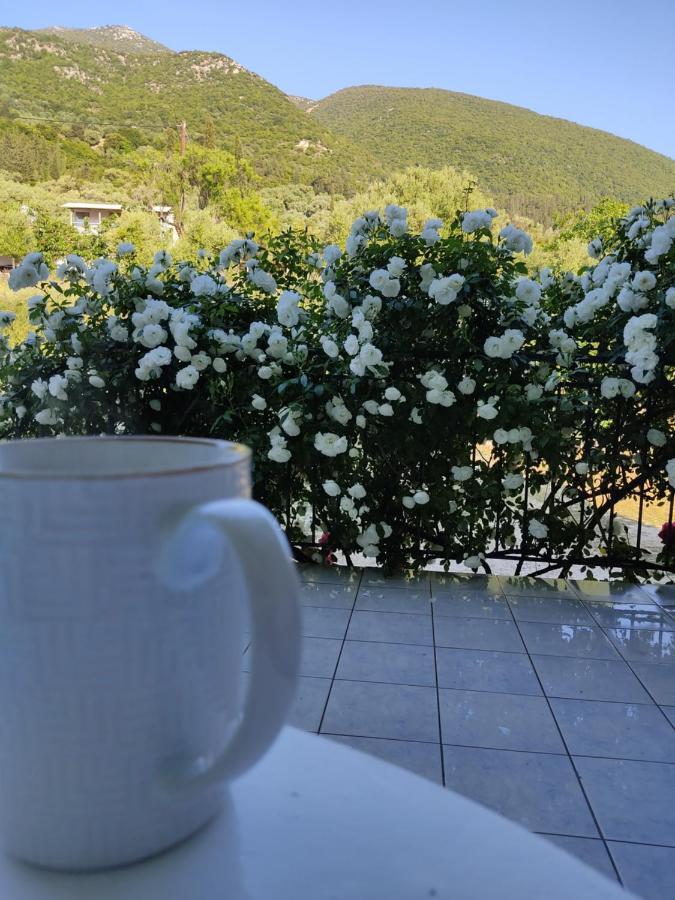 Villa Rosegarden à Sami  Extérieur photo