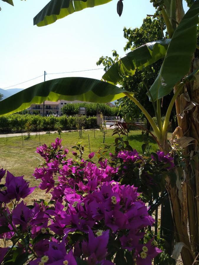 Villa Rosegarden à Sami  Extérieur photo